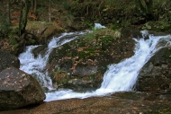 Ruta: fervenzas de Arcos (Meis)